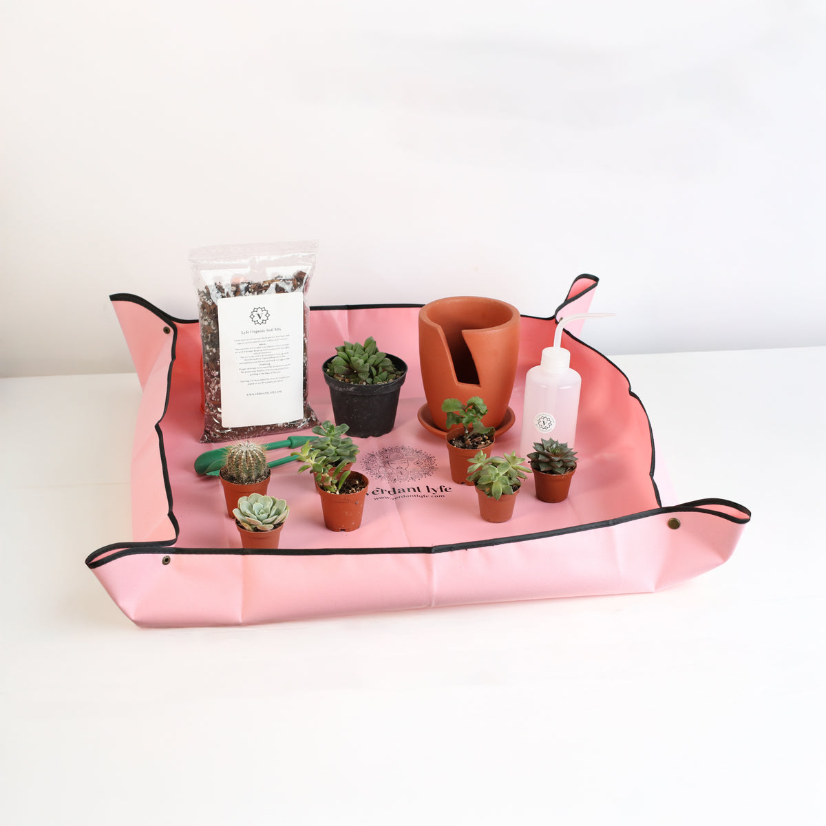 Succulent Terracotta Creations DIY Kit