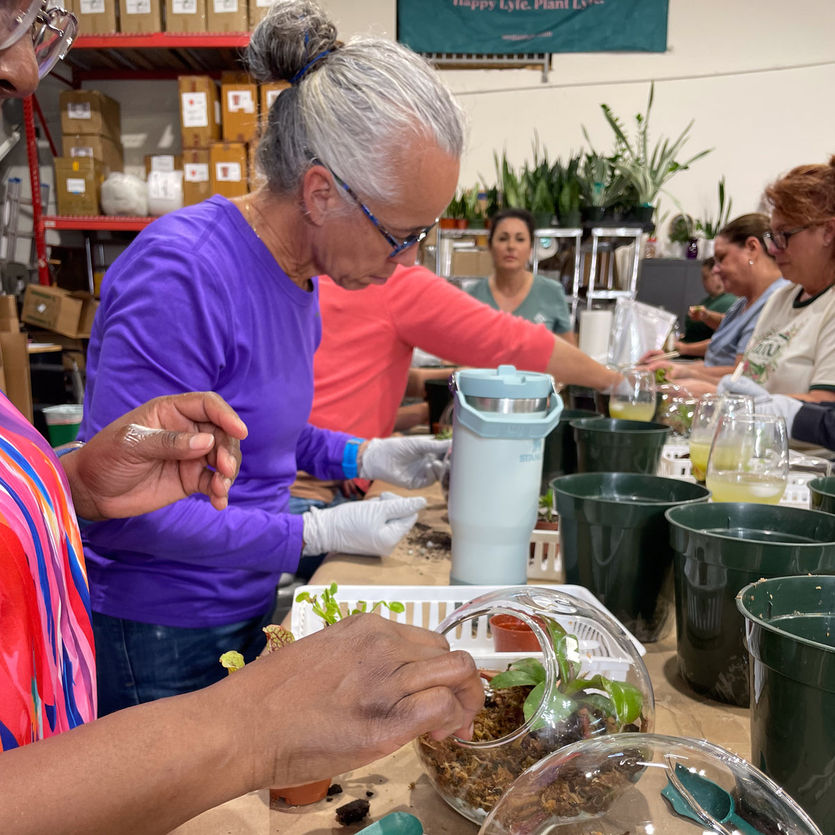 Terrarium Workshop - Thursday, April 16th 2026 at 6:00 pm