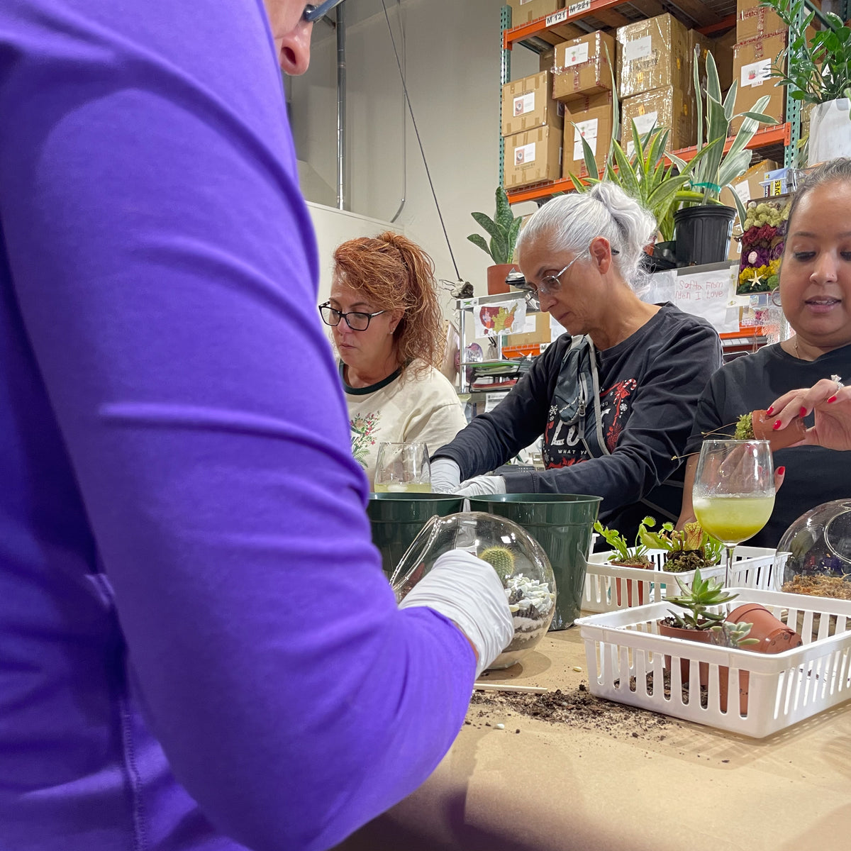 Terrarium Workshop - Thursday, April 16th 2026 at 6:00 pm
