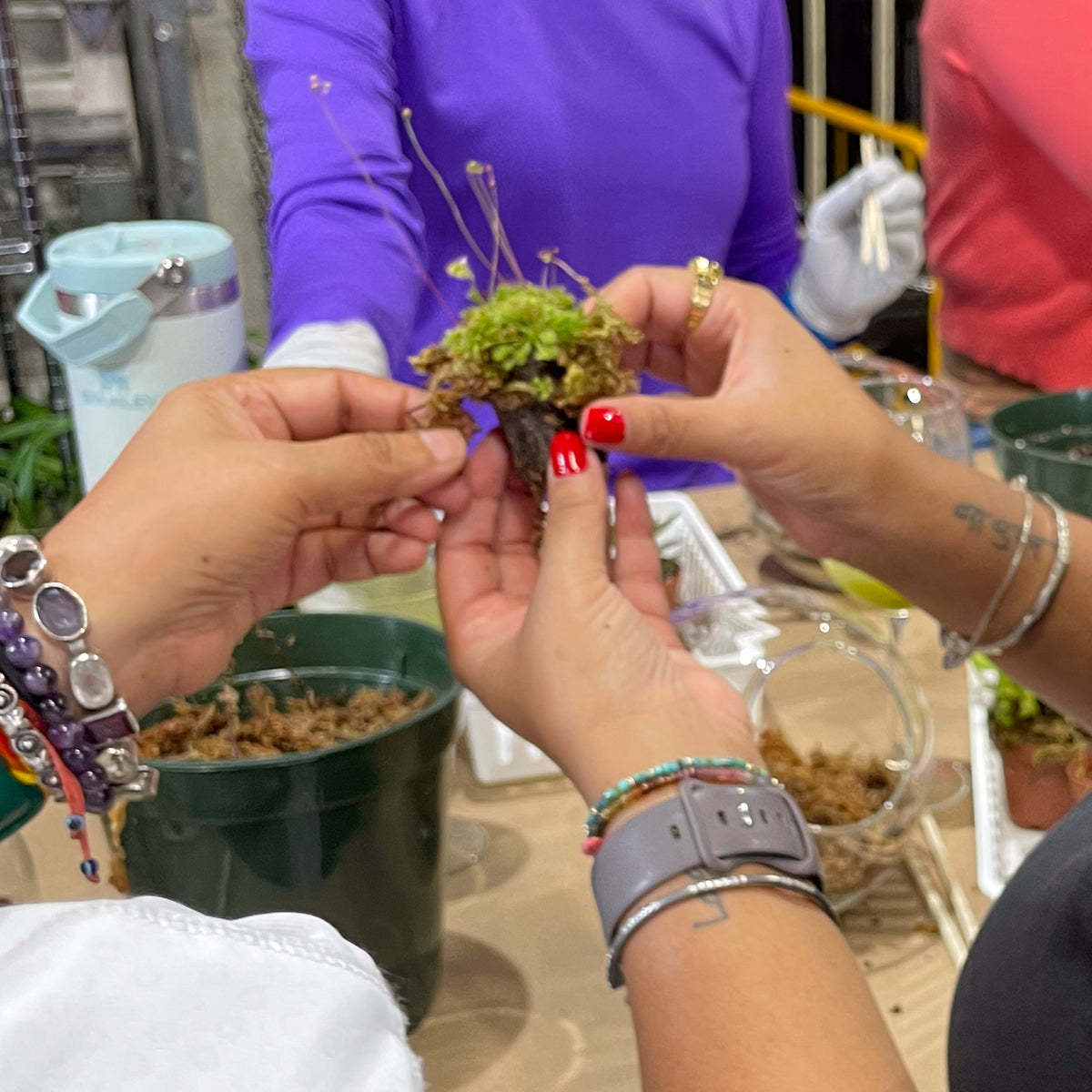 Terrarium Workshop - Thursday, April 16th 2026 at 6:00 pm