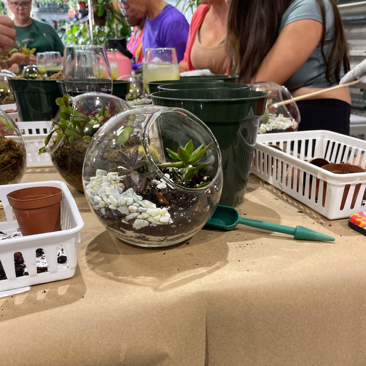 Terrarium Workshop - Thursday, April 16th 2026 at 6:00 pm