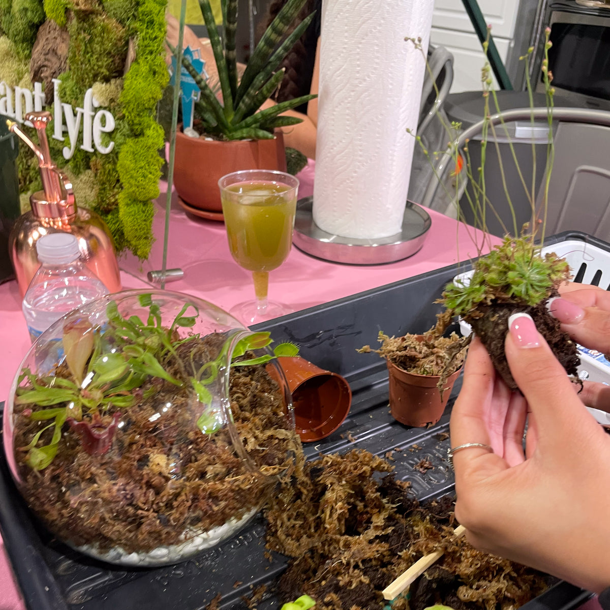 Terrarium Workshop - Thursday, April 16th 2026 at 6:00 pm