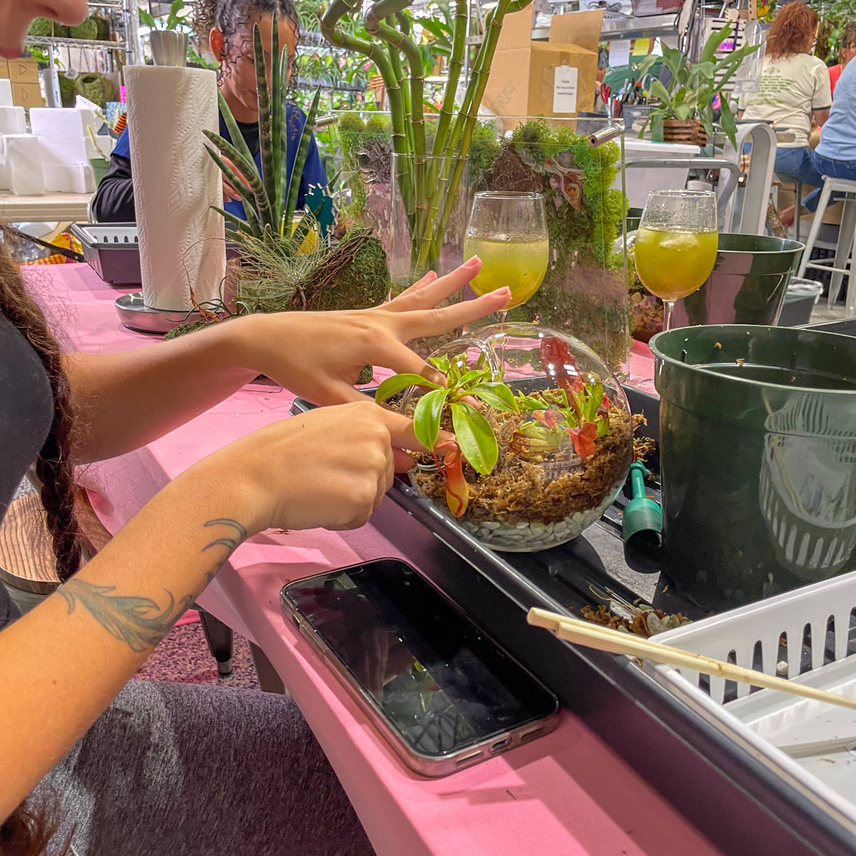 Terrarium Workshop - Thursday, April 16th 2026 at 6:00 pm