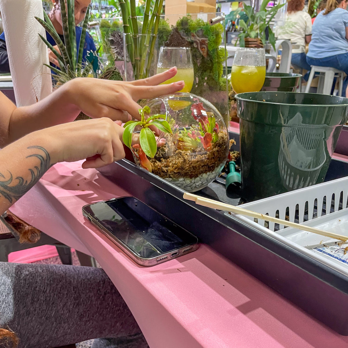 Terrarium Workshop - Thursday, April 16th 2026 at 6:00 pm