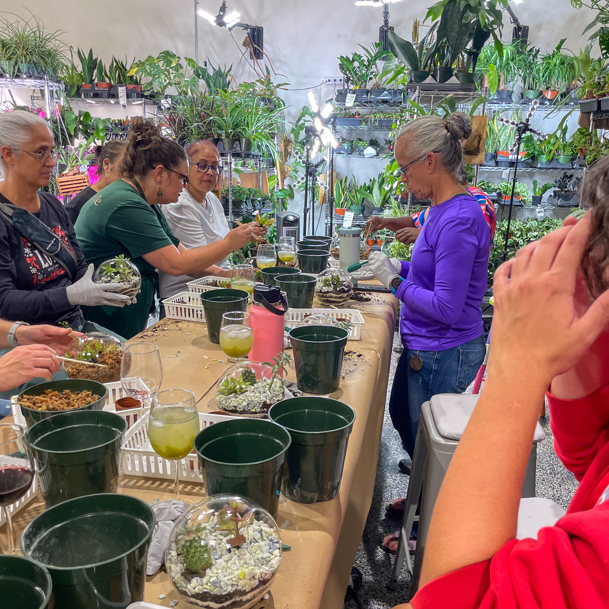 Terrarium Workshop - Thursday, April 16th 2026 at 6:00 pm