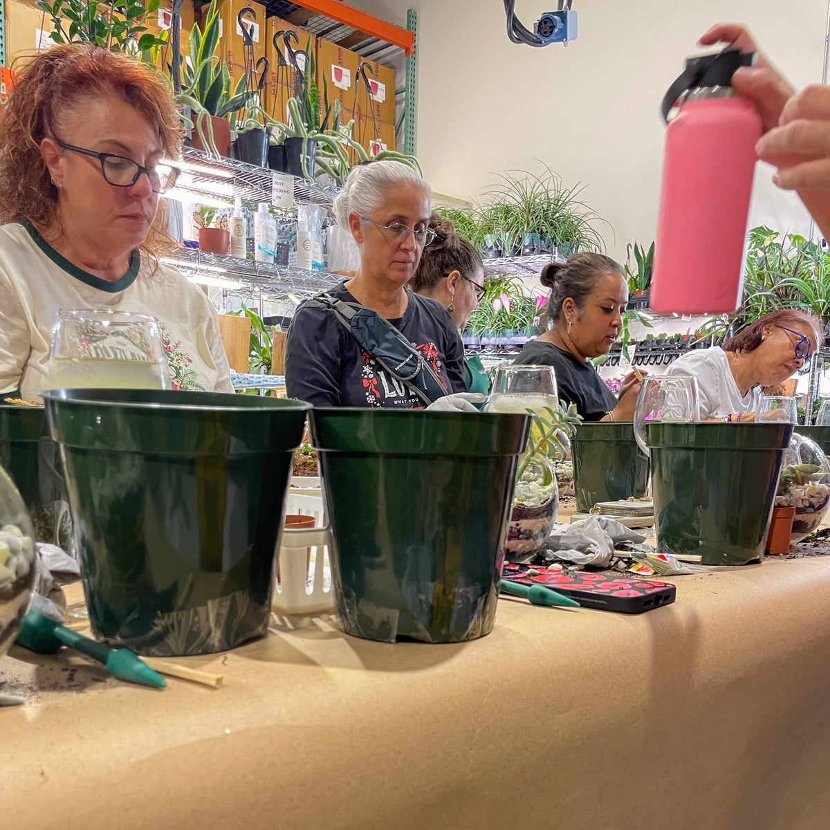 Terrarium Workshop - Thursday, April 16th 2026 at 6:00 pm