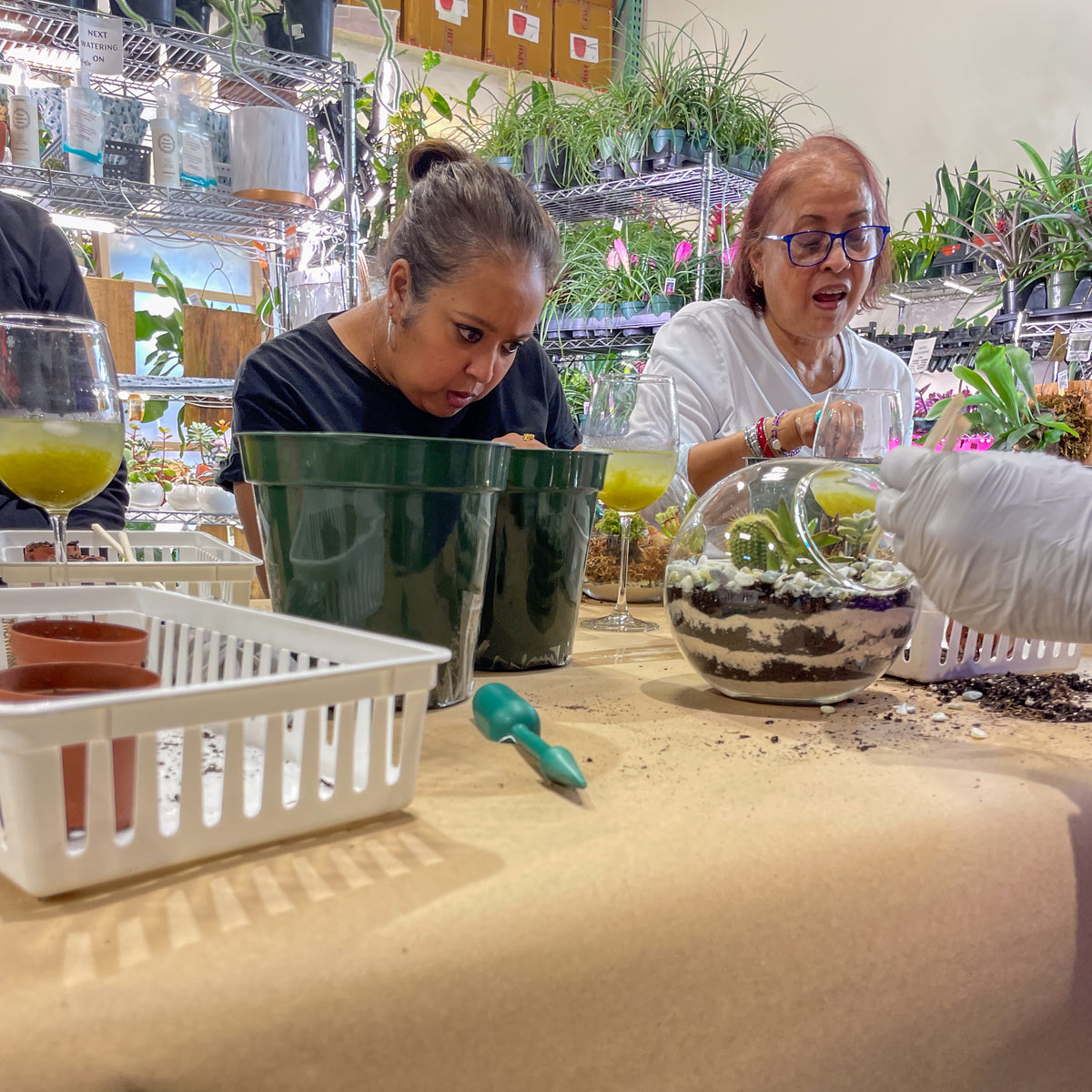 Terrarium Workshop - Thursday, April 16th 2026 at 6:00 pm