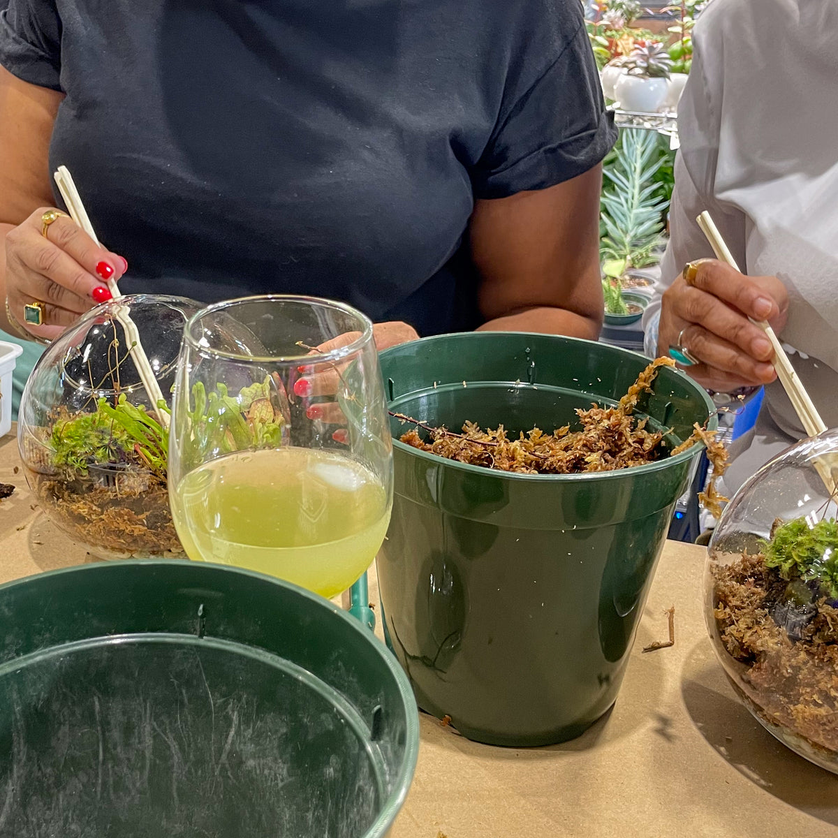 Terrarium Workshop - Thursday, April 16th 2026 at 6:00 pm