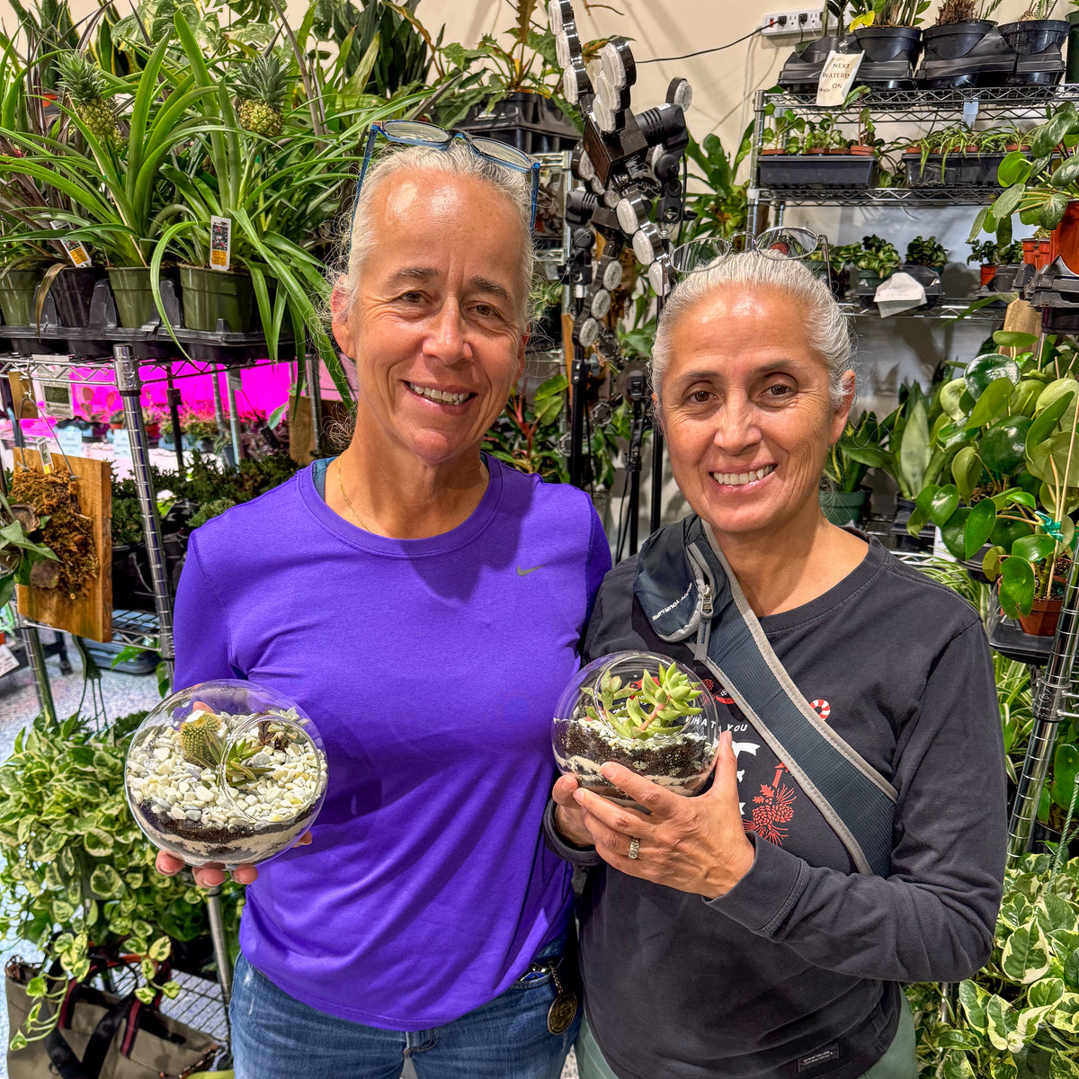 Terrarium Workshop - Thursday, April 16th 2026 at 6:00 pm