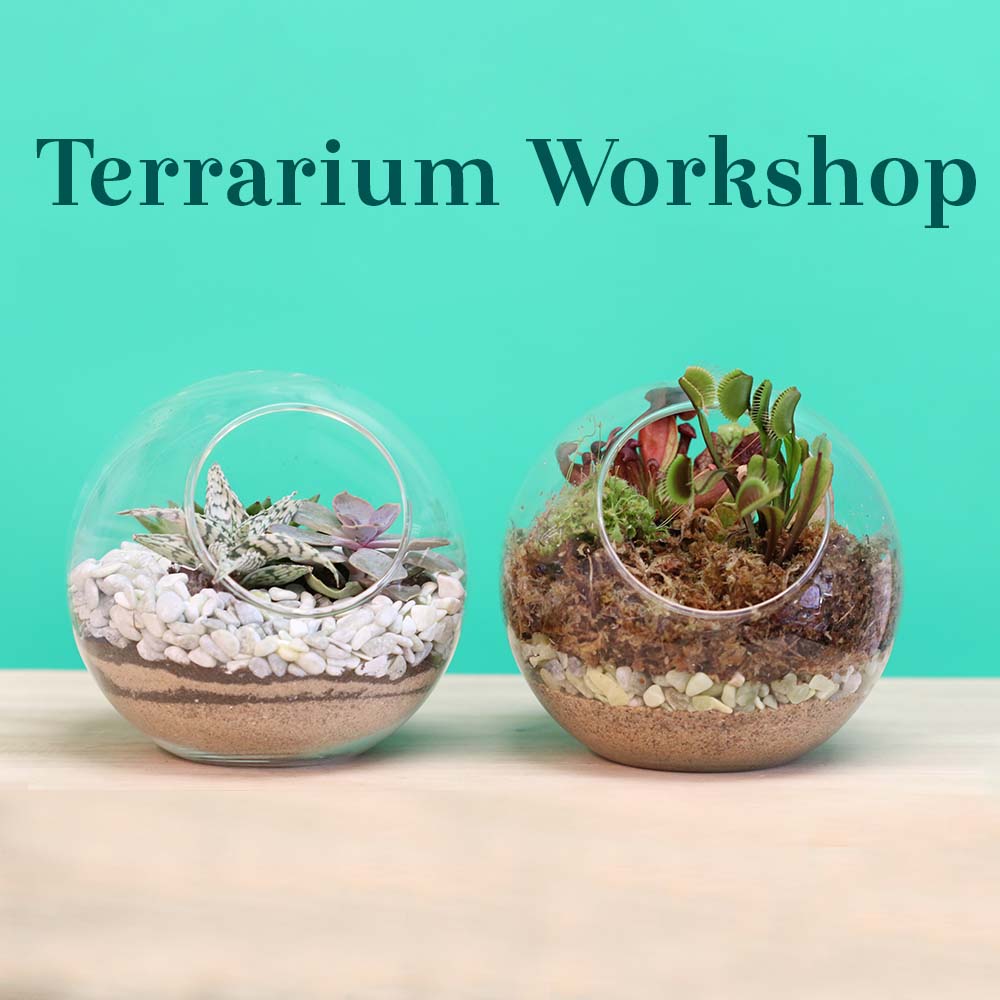 files/Terrarium_Workshop_Cover.jpg