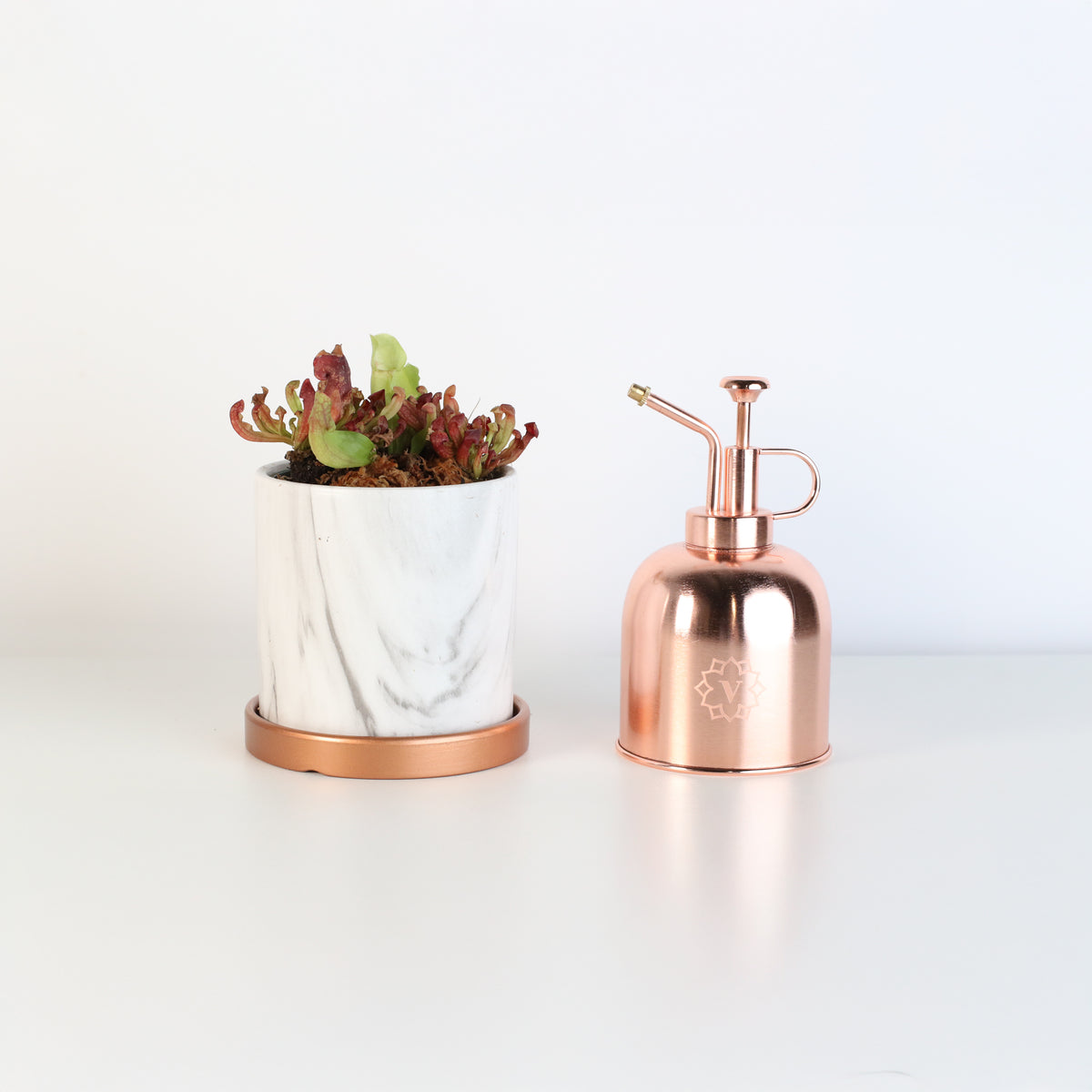 Venosa Red in 4.5" Daphne Ceramic Planter