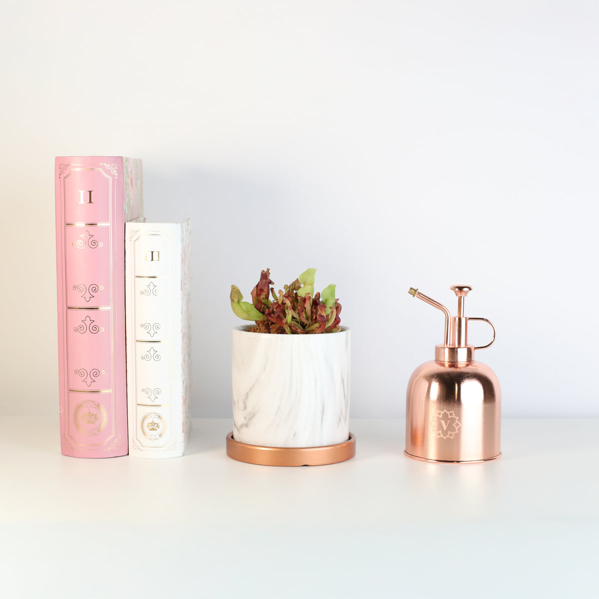 Venosa Red in 4.5" Daphne Ceramic Planter