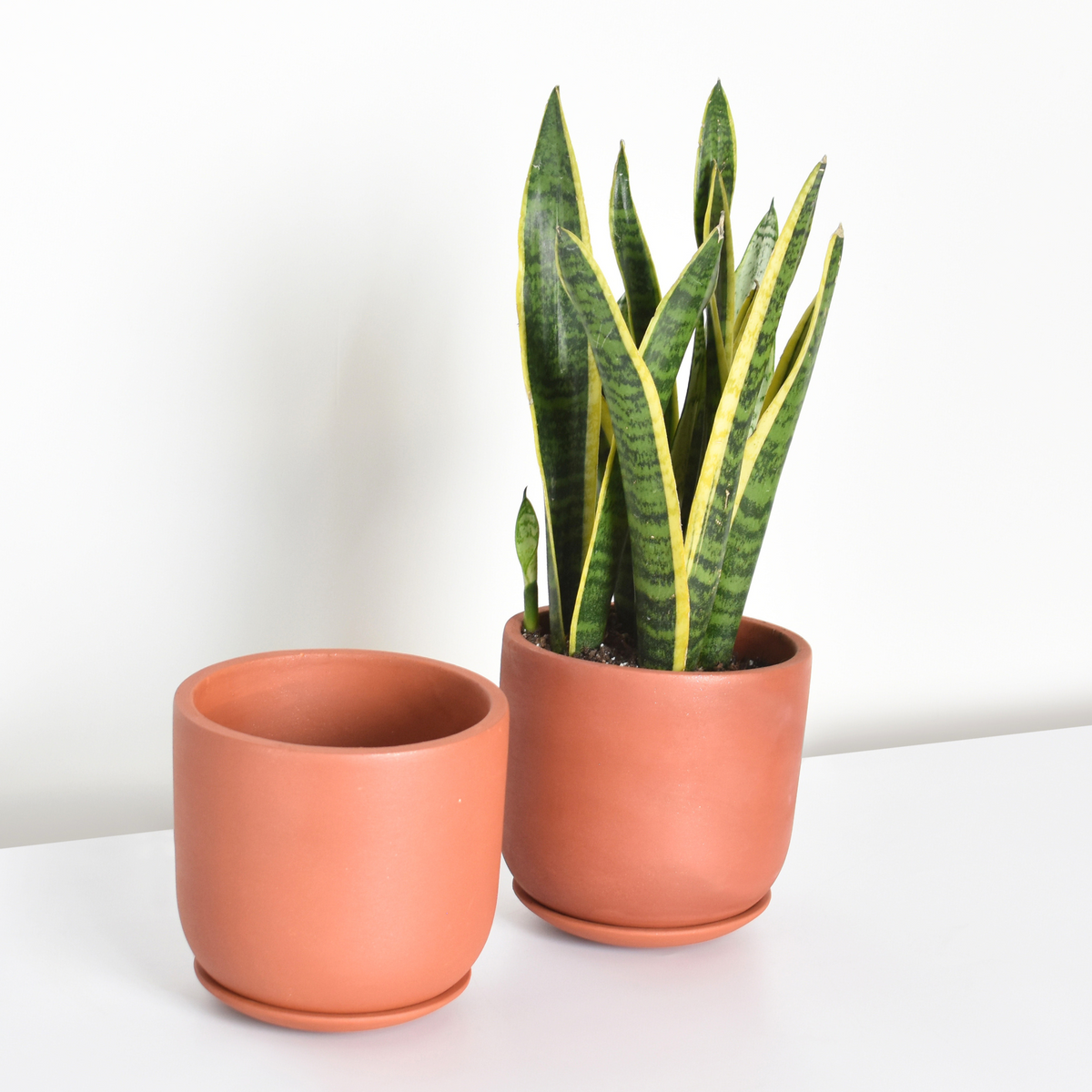 Whitney Round Terracotta Minimalist Planter - Empty
