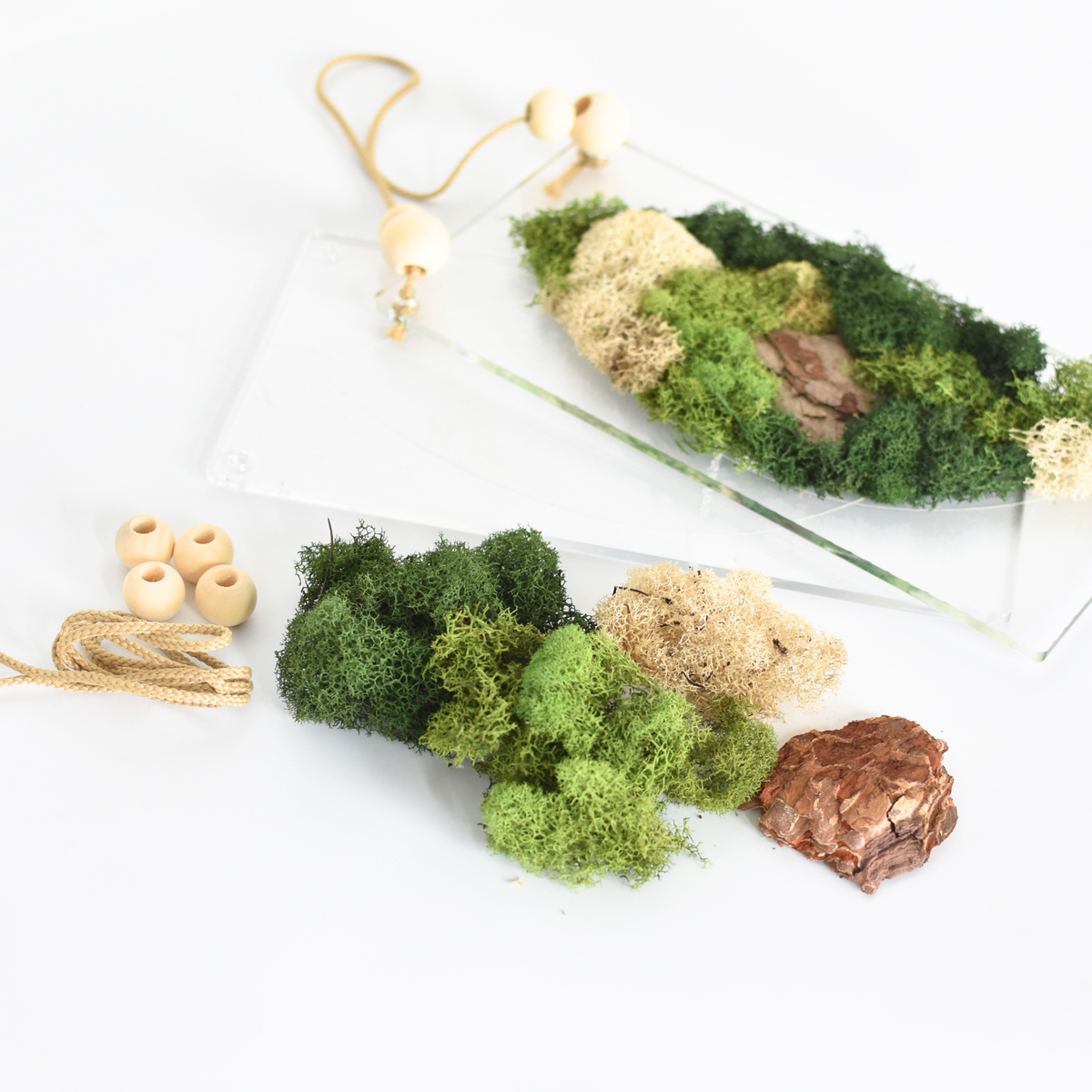 Moss Art DIY Kit Leaf Shape Hanging