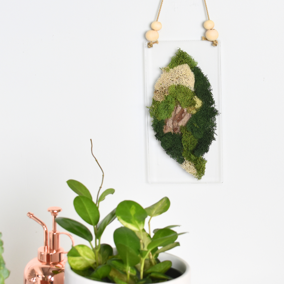 Moss Art DIY Kit Leaf Shape Hanging