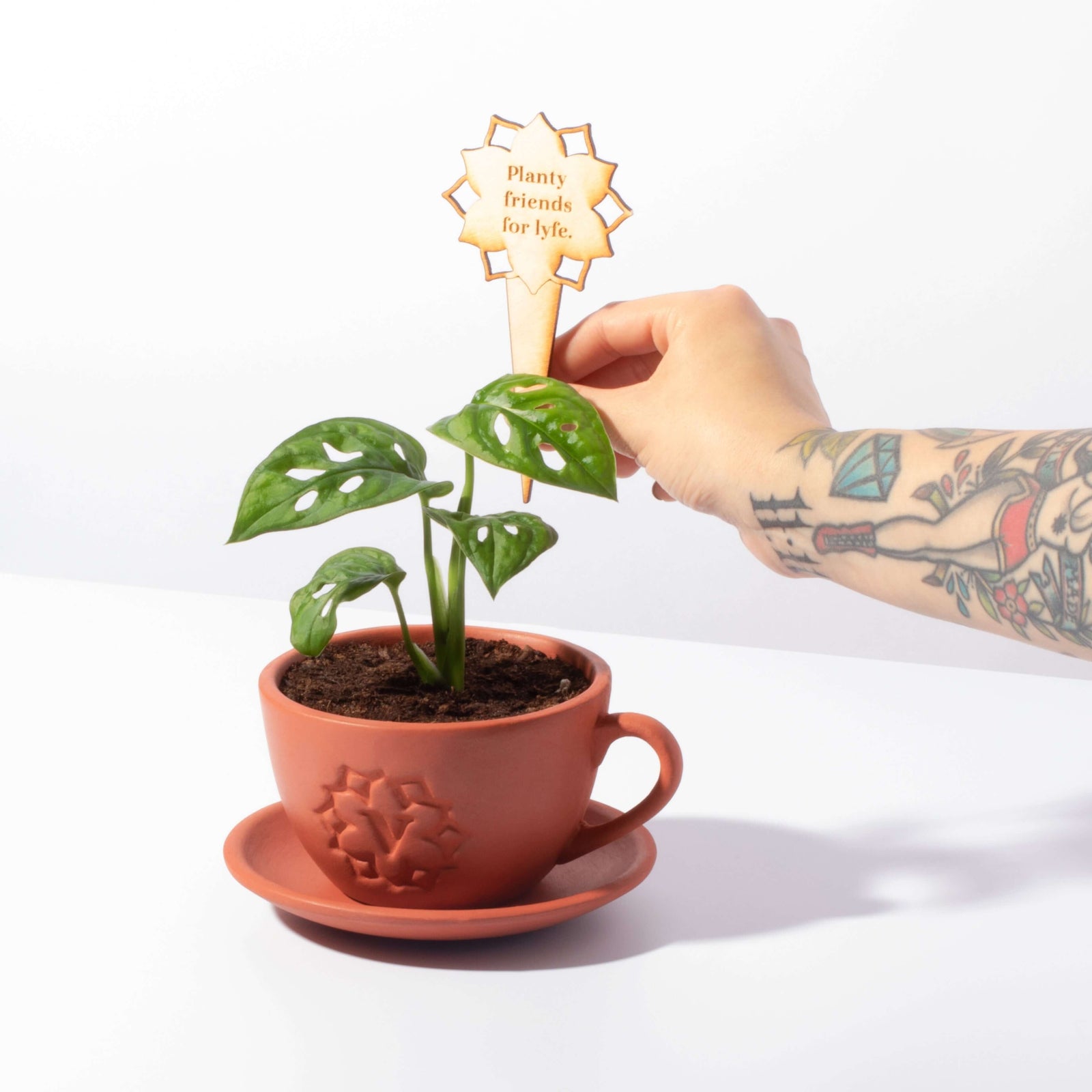 Plant Message Stakes