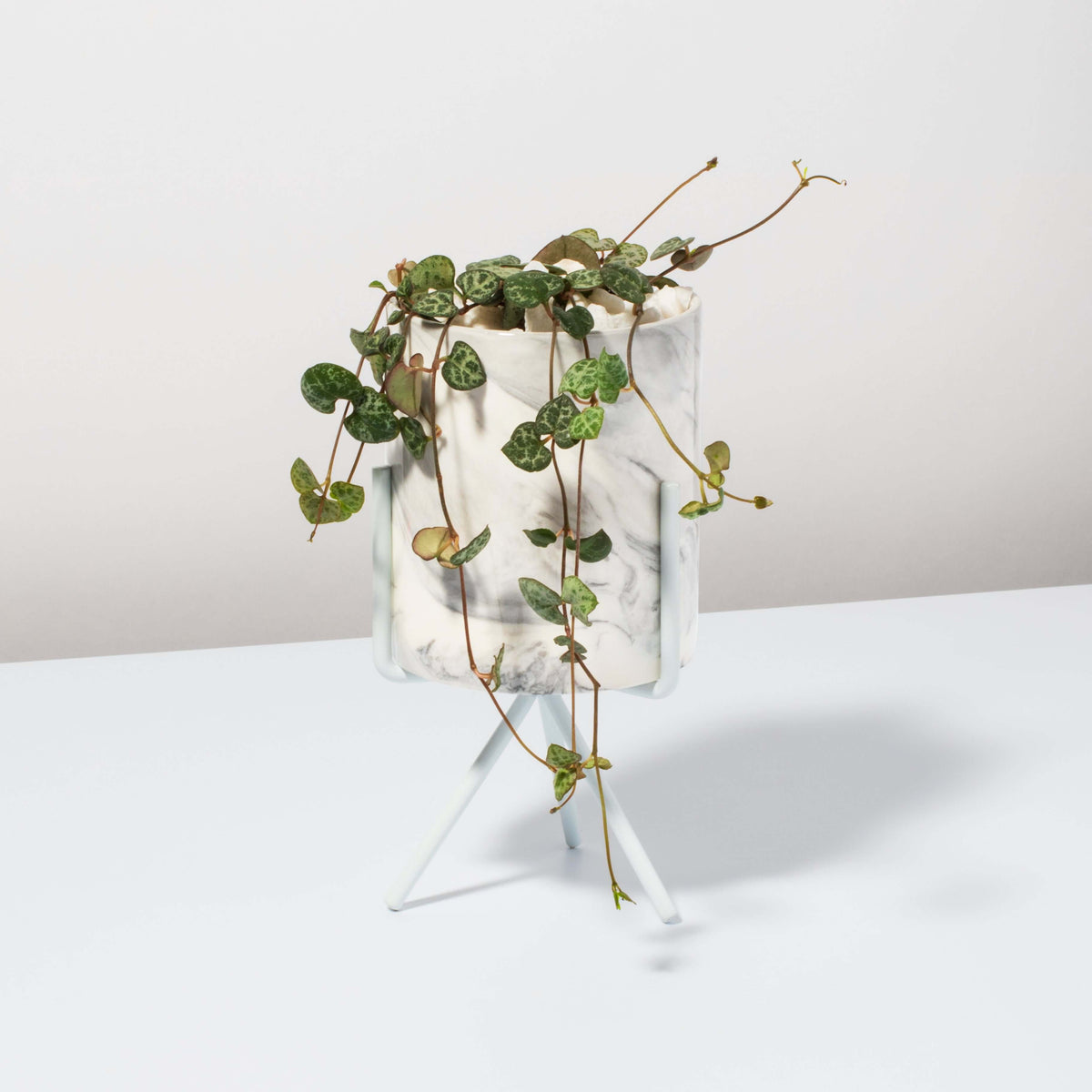 Olympia Ceramic Planter Marble Effect - Empty Verdant Lyfe