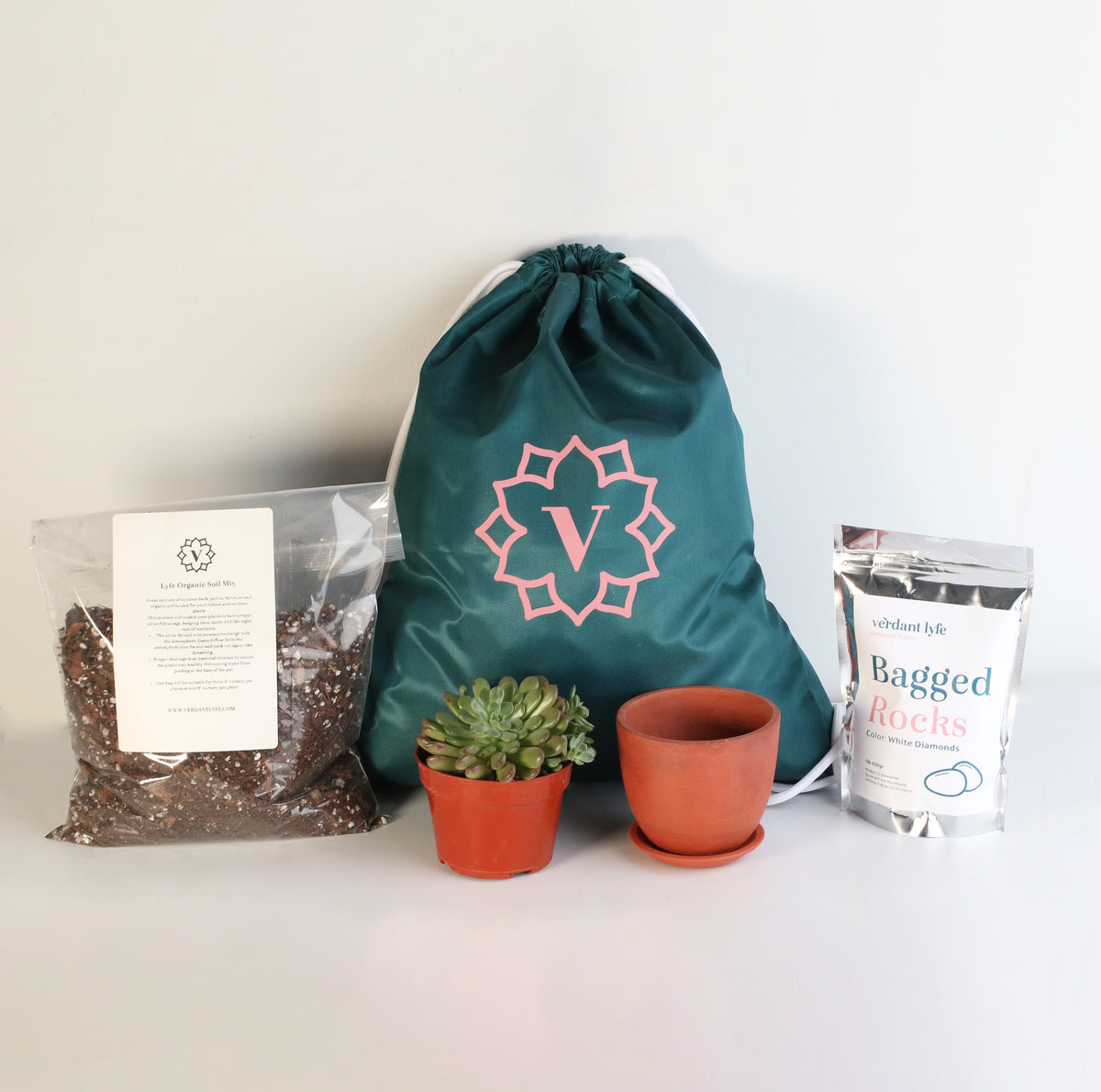 Earth Essentials Bundle

