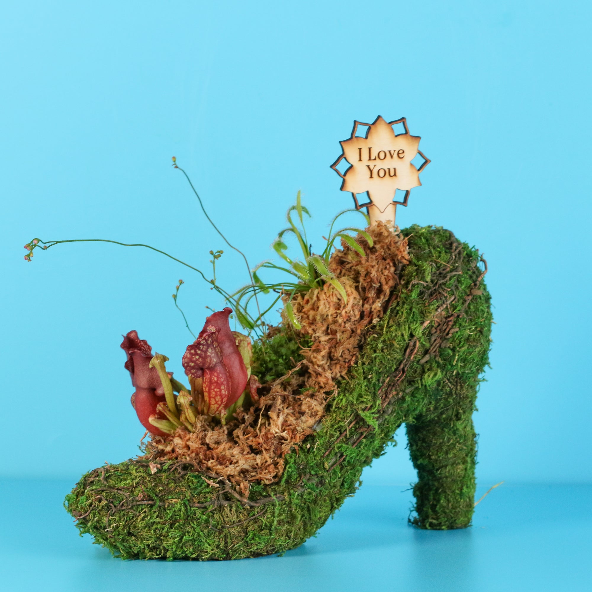 Carnivorous Chic in Heels Kit -DIY