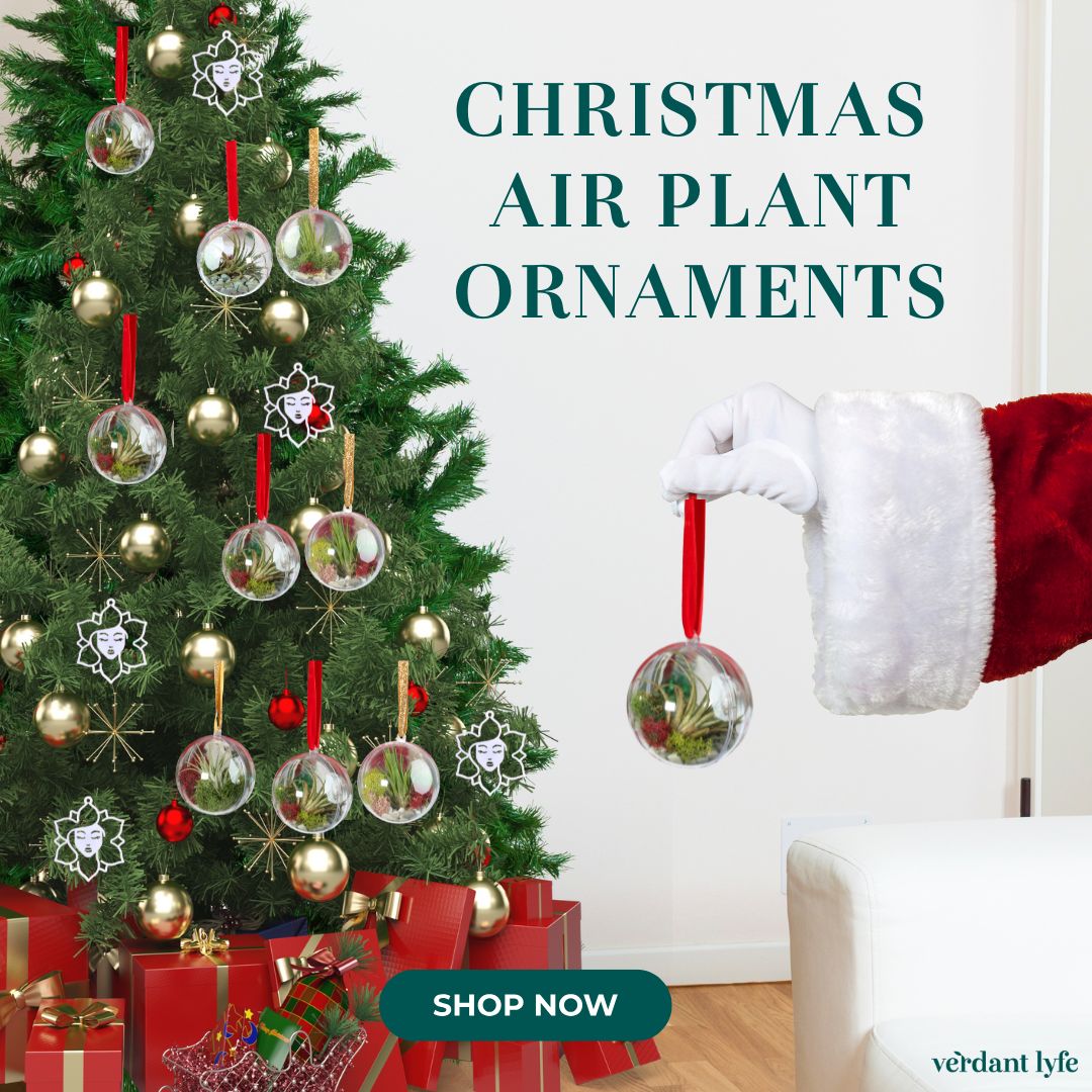 files/ChristmasOrnament.jpg