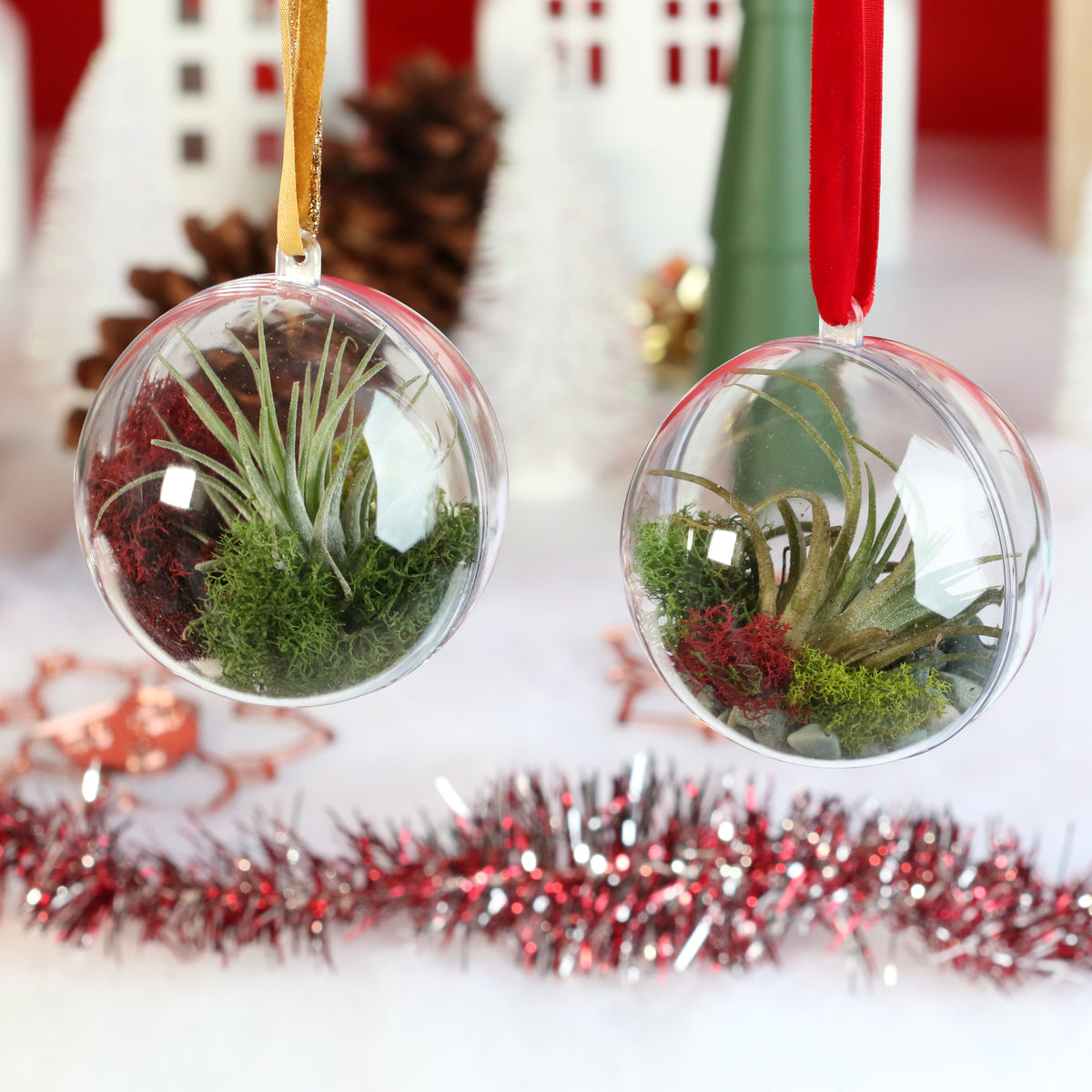 Christmas Air Plant Ornament