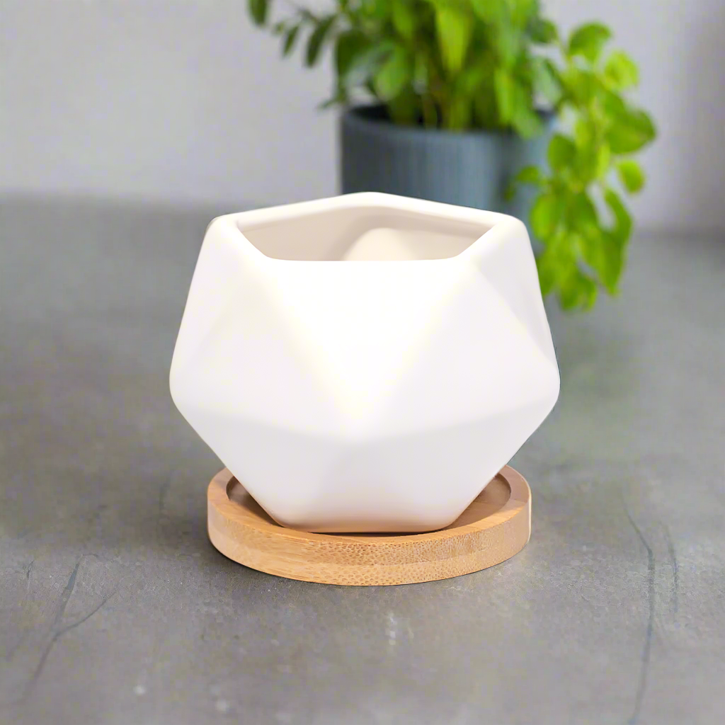 Wanda Porcelain Planter with Bamboo Tray Verdant Lyfe