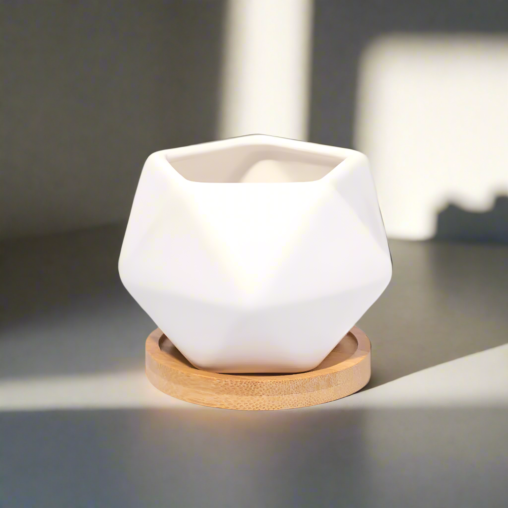 Wanda Planter 