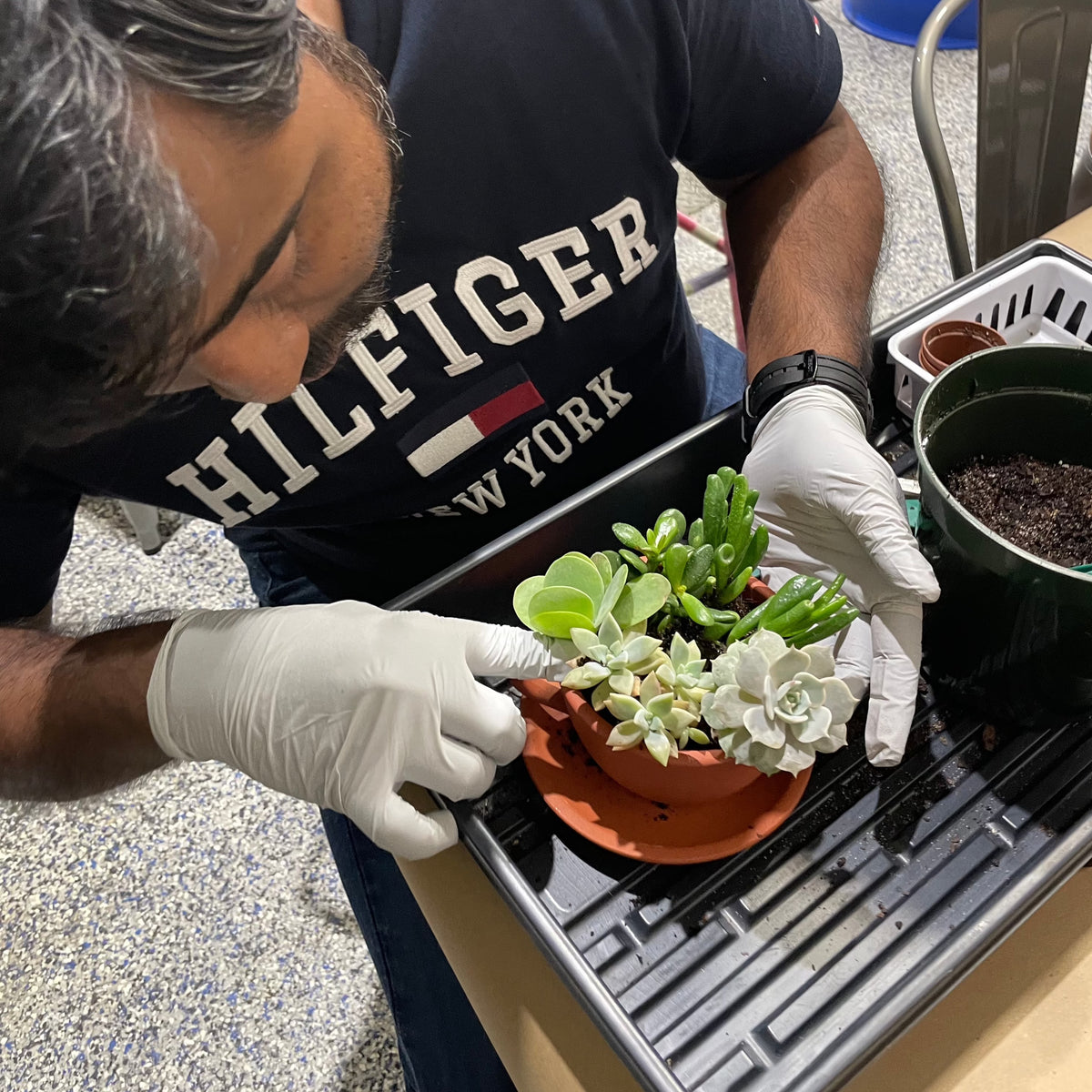 Succulent Arrangement Workshop - Thursday, January 29th 2026, at 6:00 pm