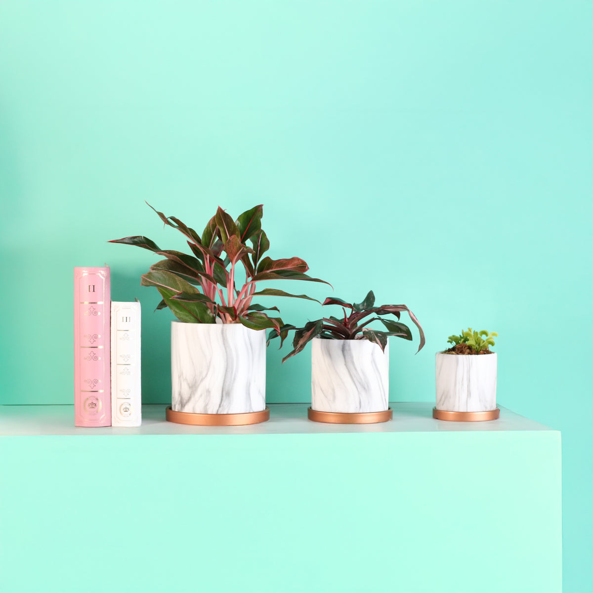 Daphne Ceramic 4.5&quot; Planter - Empty