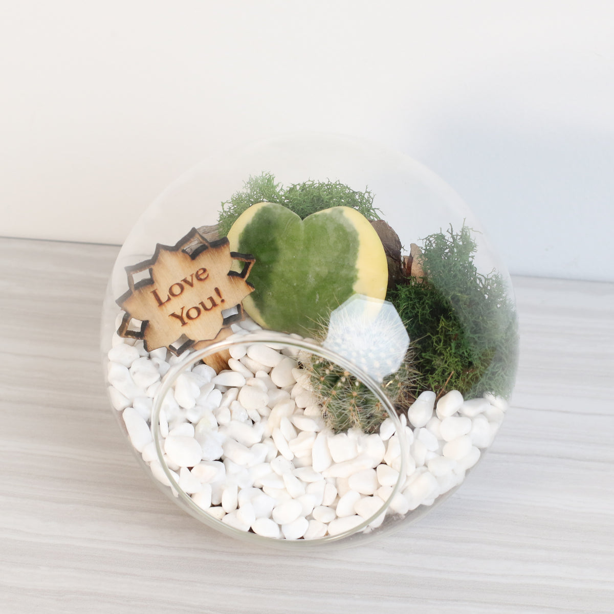 Terrarium Kit