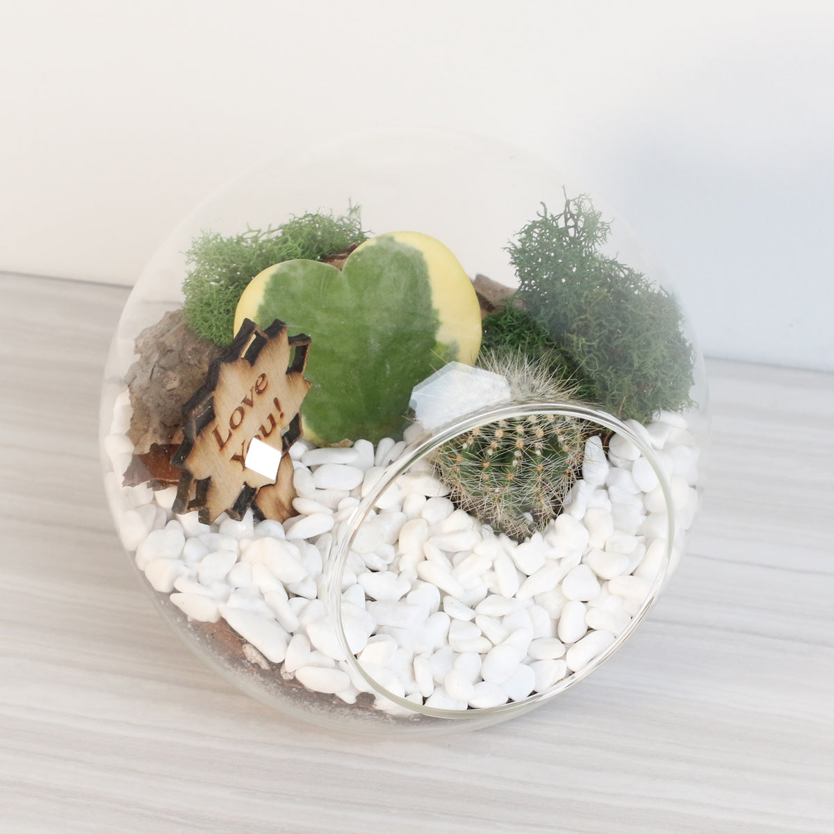 Terrarium Kit