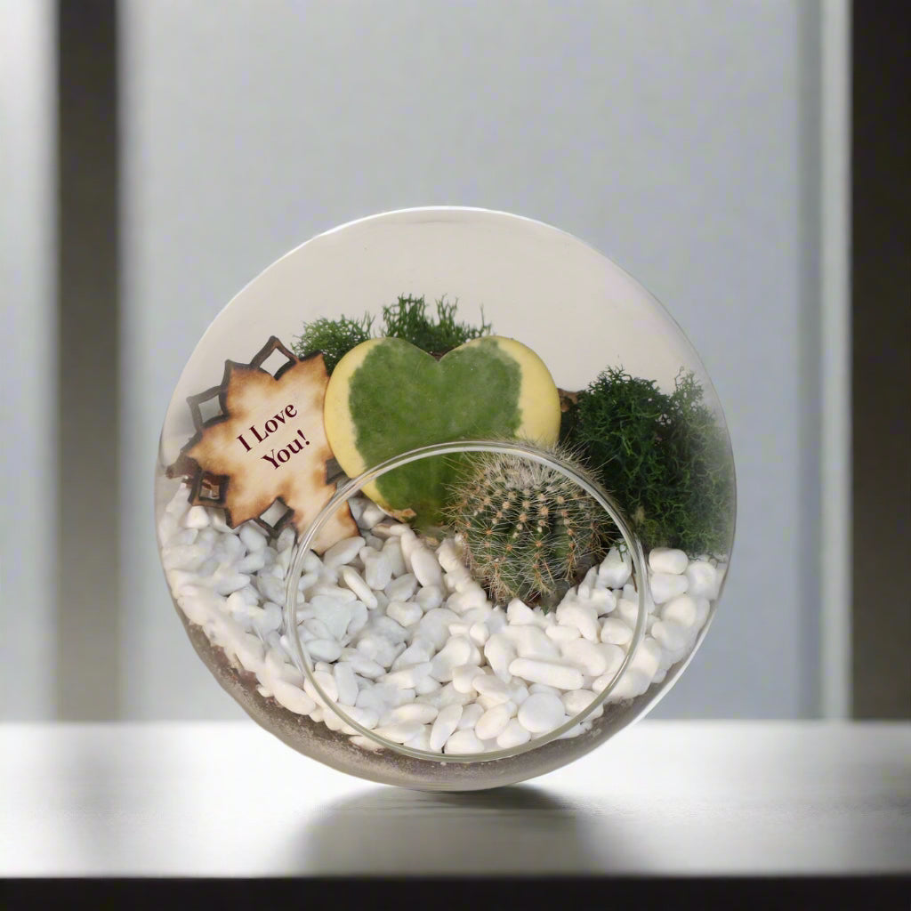 Terrarium Kit