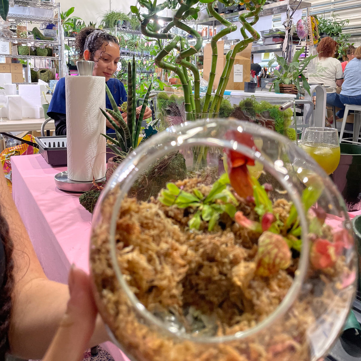 Terrarium Workshop - Thursday, TBD, 2026 at 6:00 pm