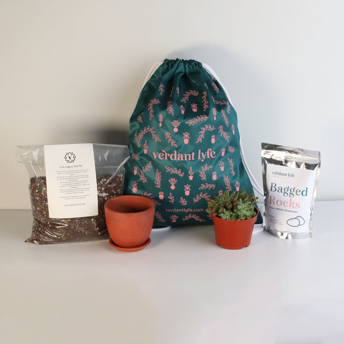 Earth Essentials Bundle

