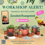 Succulent Arrangement Workshop - Thursday, May 1st at 6:00 pm Excellent Mother's Day Gift Idea