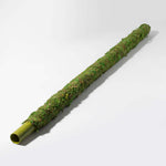 Green Moss Pole Climbing Plant Stake Verdant Lyfe